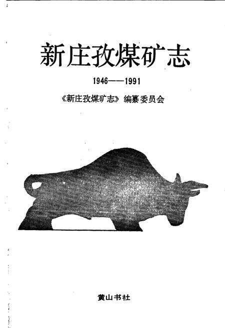 《新庄孜煤矿志》.pdf_安徽省志预览图1