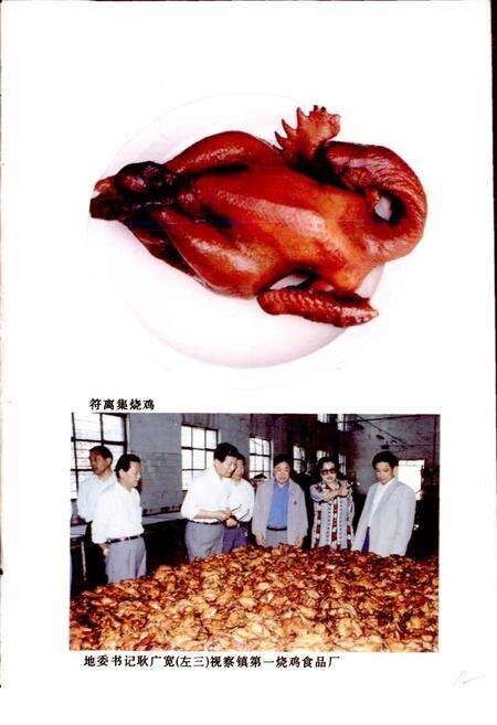 《符离镇志》.pdf_安徽省志预览图5