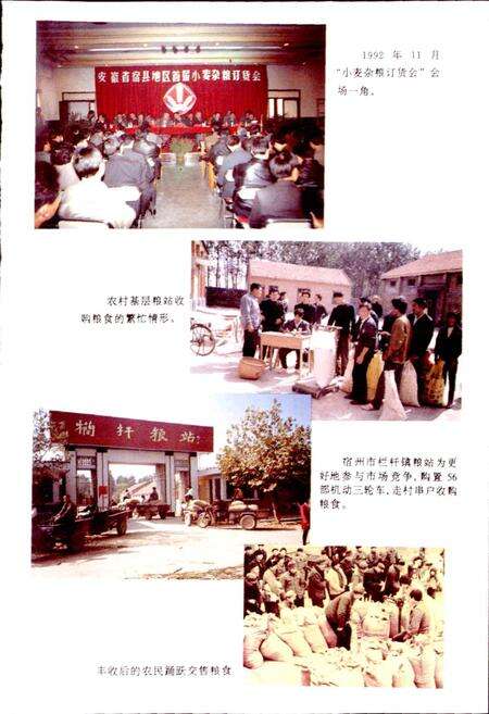 《宿县地区粮食志》.pdf_安徽省志预览图5