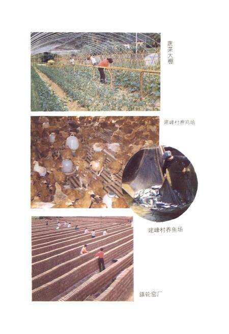 《祁山镇志》.pdf_安徽省志预览图5