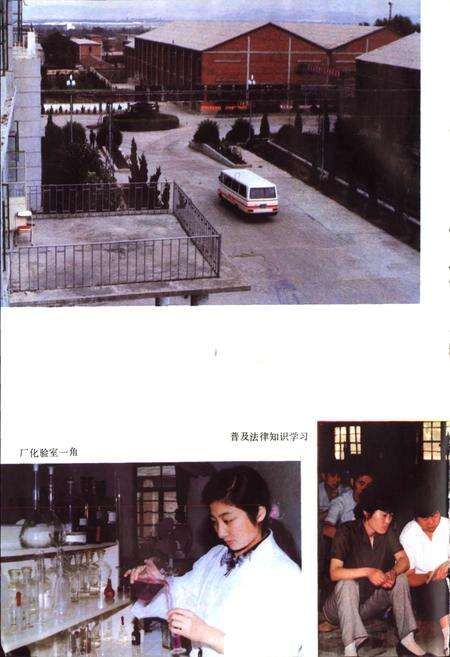 《淮北矿务局志 下》.pdf_安徽省志预览图5