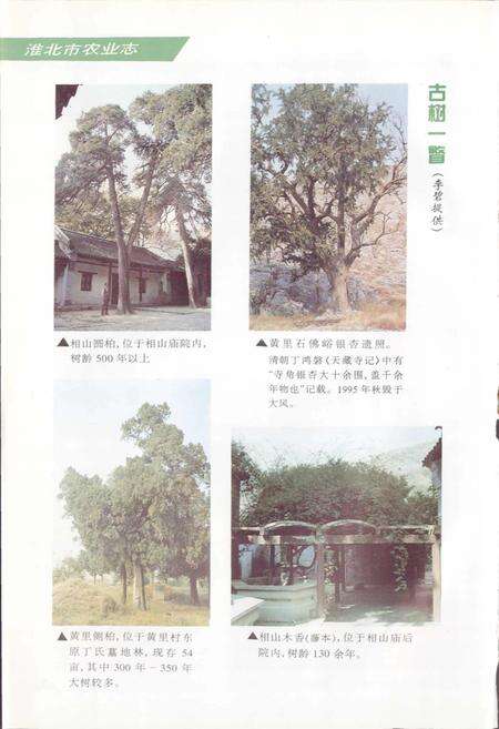《淮北市农业志》.pdf_安徽省志预览图5