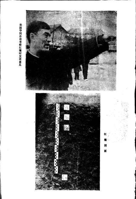 《安徽省舒城县土壤志》.pdf_安徽省志预览图4