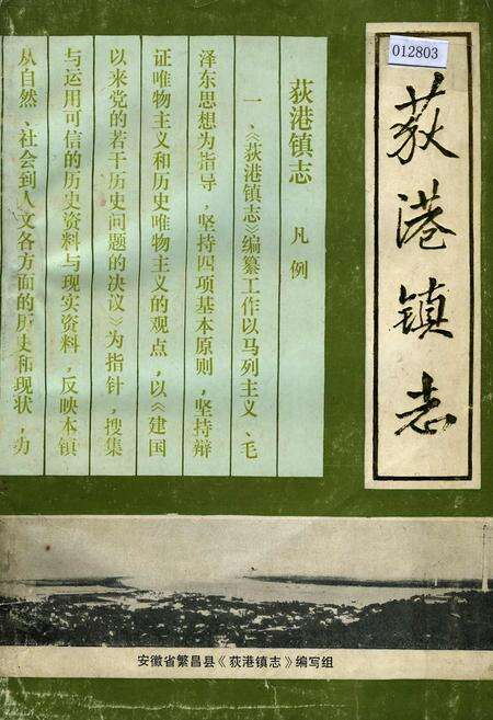 《荻港镇志》.pdf_安徽省志缩略图