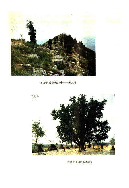 《濉溪县地名录》.pdf_安徽省志预览图5