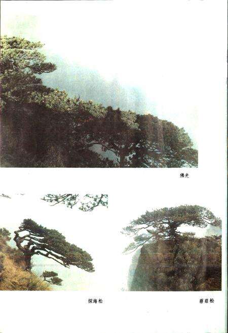 《安徽省祁门县地名录》.pdf_安徽省志预览图4