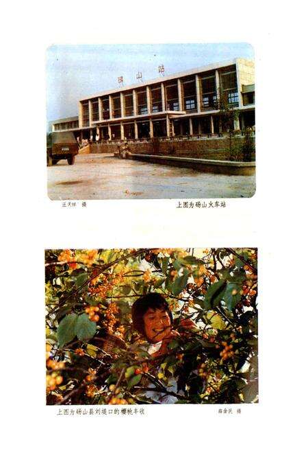 《安徽省砀山县地名录》.pdf_安徽省志预览图2