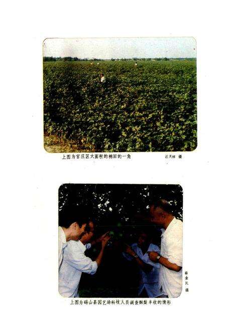 《安徽省砀山县地名录》.pdf_安徽省志预览图4