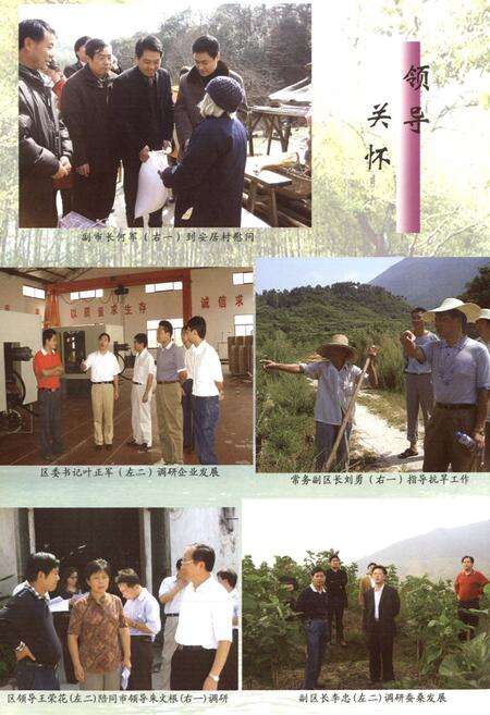 《新丰乡志(-2006年)》.pdf_安徽省志预览图5