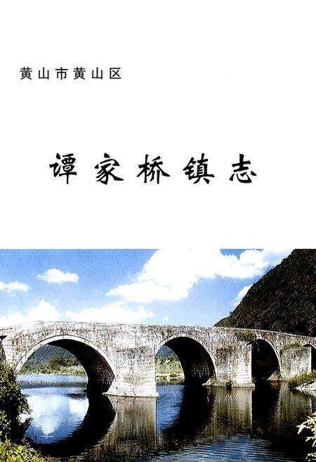 《谭家桥镇志(-2006年)》.pdf_安徽省志预览图4
