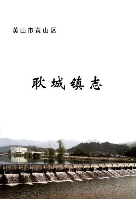 《耿城镇志(-2006年)》.pdf_安徽省志预览图4