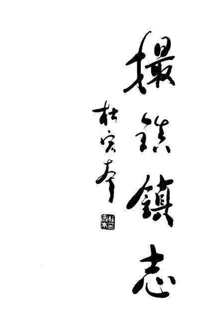 《撮镇镇志》.pdf_安徽省志预览图1