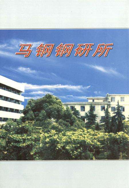 《马钢钢研所志(1958-2000)》.pdf_安徽省志预览图2