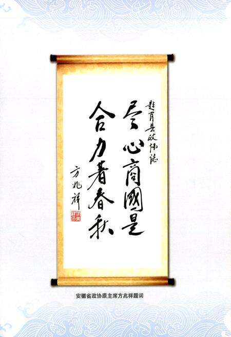 《萧县政协志(1981-2008)》.pdf_安徽省志预览图4