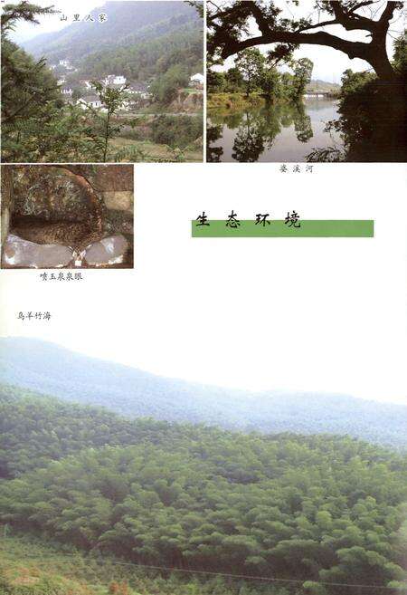 《甘棠镇志(-2006)》.pdf_安徽省志预览图5