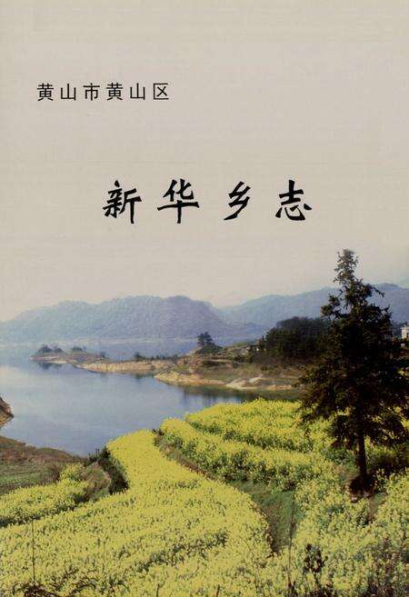 《新华乡志(-2006)》.pdf_安徽省志预览图1