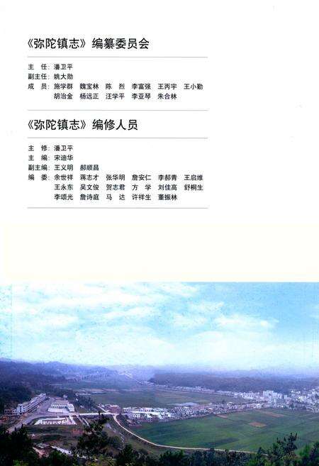《弥陀镇志》.pdf_安徽省志预览图2