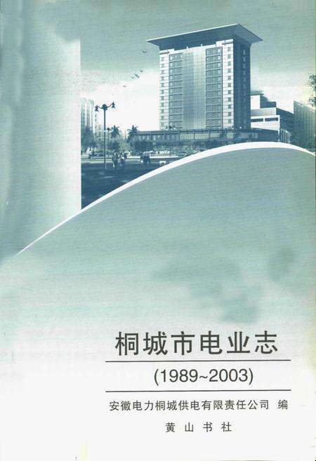《桐城市电业志(1989~2003)》.pdf_安徽省志预览图1