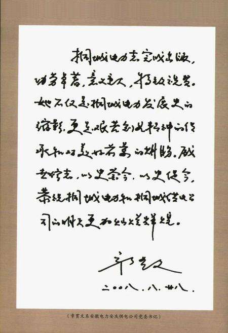 《桐城市电业志(1989~2003)》.pdf_安徽省志预览图3