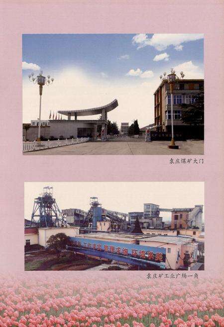 《袁庄煤矿志》.pdf_安徽省志预览图5