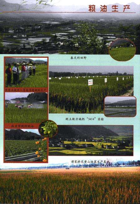 《黄山区农业志》.pdf_安徽省志预览图4