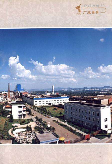 《金昌冶炼厂志(1986~2005)》.pdf_安徽省志预览图4