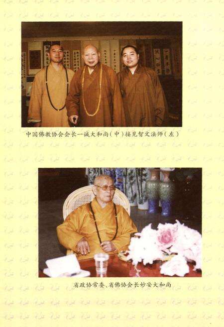 《居巢区宗教志(239-2007)》.pdf_安徽省志预览图4