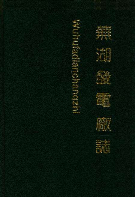 《芜湖发电厂志》.pdf_安徽省志缩略图