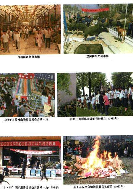 《金寨县工商行政管理志》.pdf_安徽省志预览图3