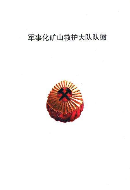 《淮南矿务局军事化矿山救护大队队志(1954-1990)》.pdf_安徽省志预览图2