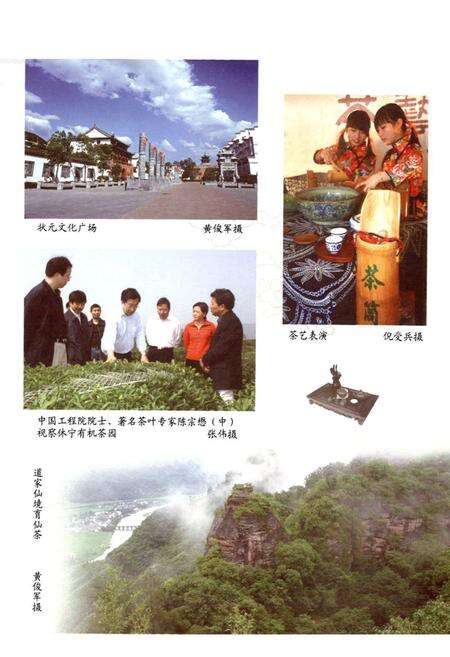 《休宁县茶叶志》.pdf_安徽省志预览图3