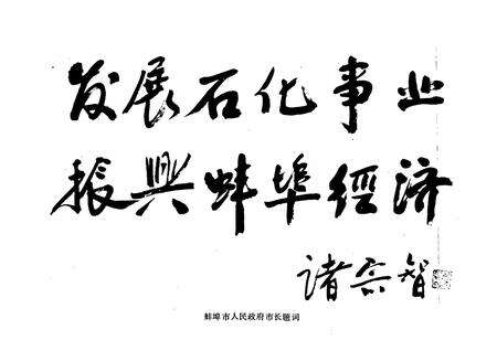 《蚌埠石油商业志(1900-1990)第一卷》.pdf_安徽省志预览图4