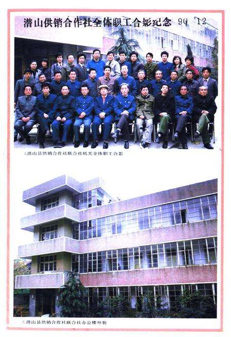 《潜山县供销社志》.pdf_安徽省志预览图4