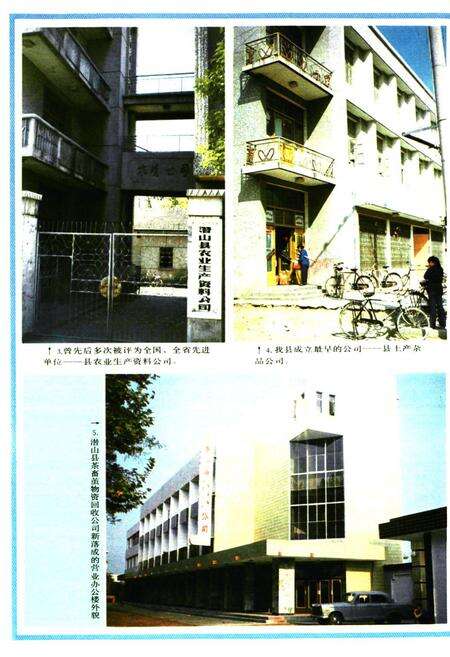 《潜山县供销社志》.pdf_安徽省志预览图5