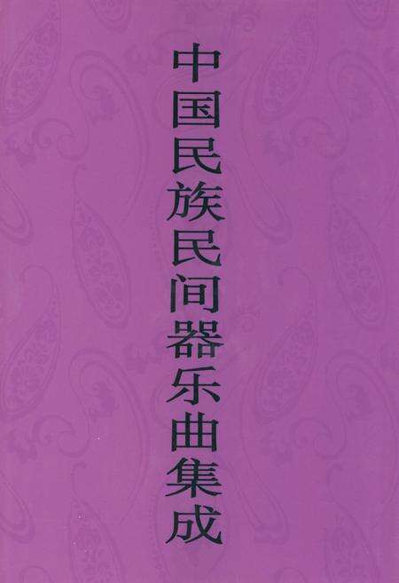 《中国民族民间器乐曲集成·安徽卷(下册)》.pdf_安徽省志缩略图