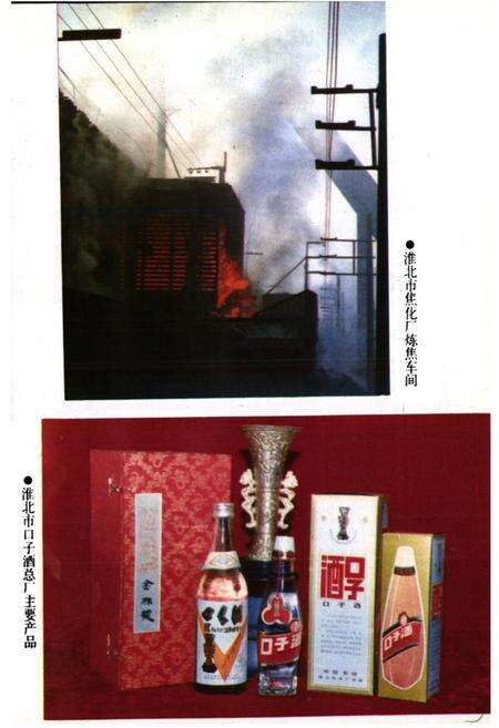 《《淮北市财政志(1961-1985)》》.pdf_安徽省志预览图4