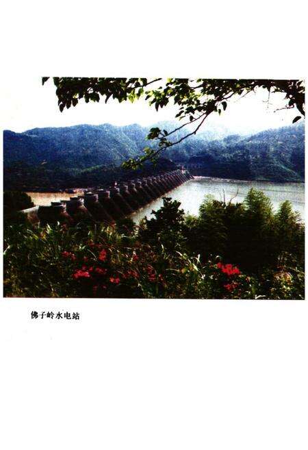 《《六安地区电力工业志》》.pdf_安徽省志预览图4