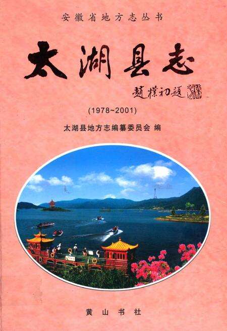 《太湖县志(1978~2001)》.pdf_安徽省志缩略图