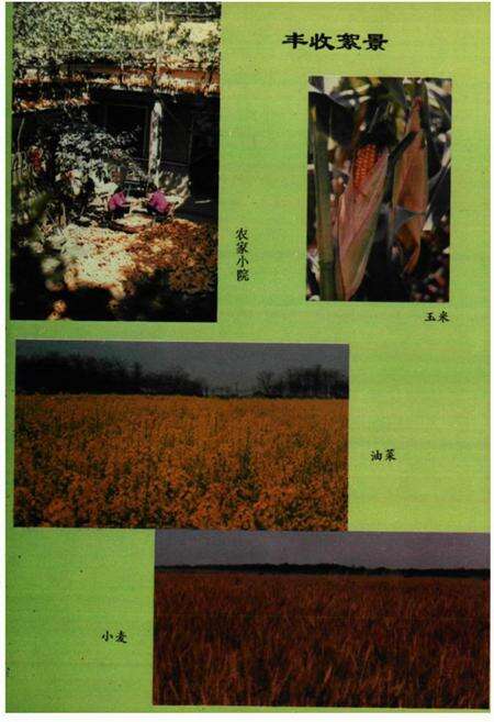 《界首县志》.pdf_安徽省志预览图5