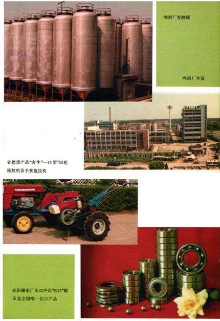 《阜阳市志》.pdf_安徽省志预览图4