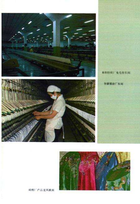 《阜阳市志》.pdf_安徽省志预览图5