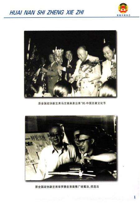 《淮南市政协志(1950.9-2006.6)》.pdf_安徽省志预览图5