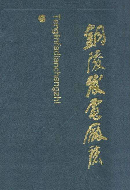 《铜陵发电厂志》.pdf_安徽省志缩略图