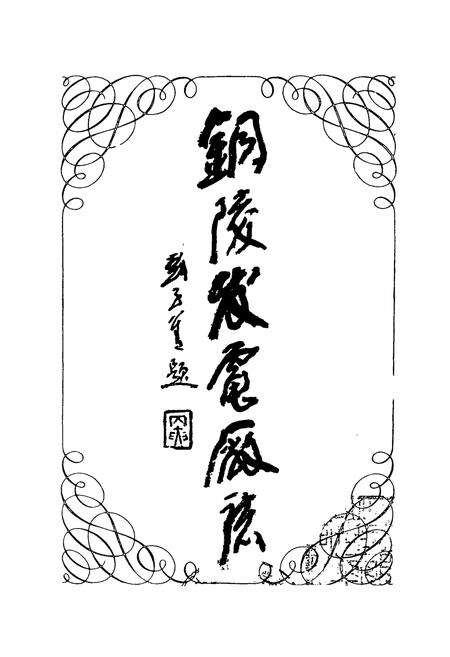 《铜陵发电厂志》.pdf_安徽省志预览图1