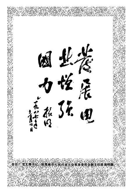 《铜陵发电厂志》.pdf_安徽省志预览图2