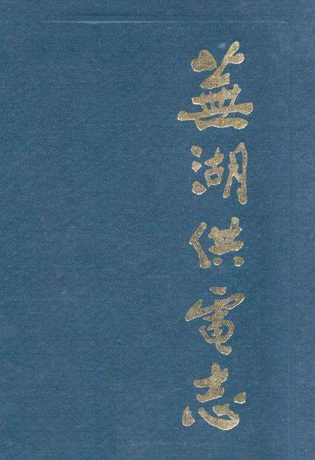 《芜湖供电志》.pdf_安徽省志缩略图