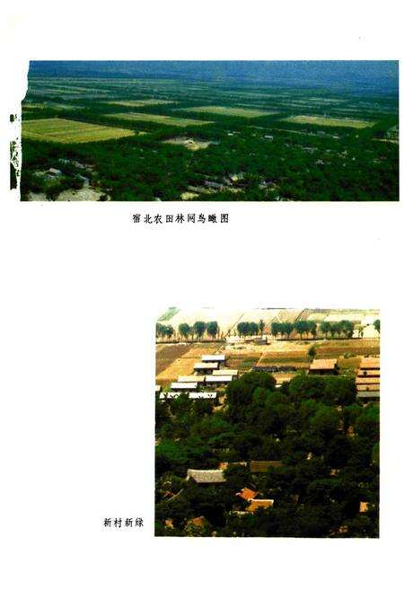 《宿县林业志》.pdf_安徽省志预览图2