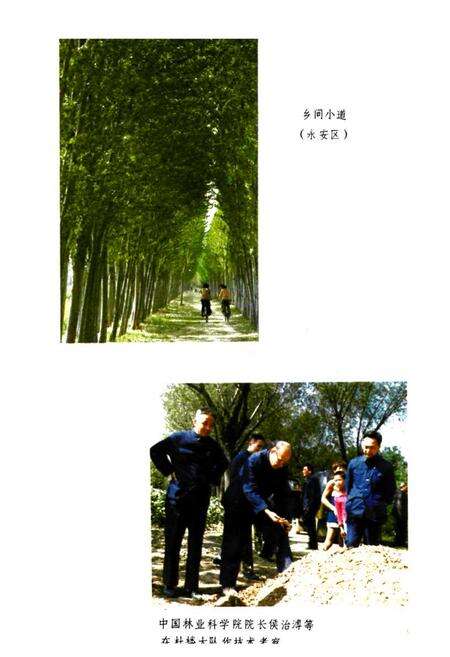 《宿县林业志》.pdf_安徽省志预览图4