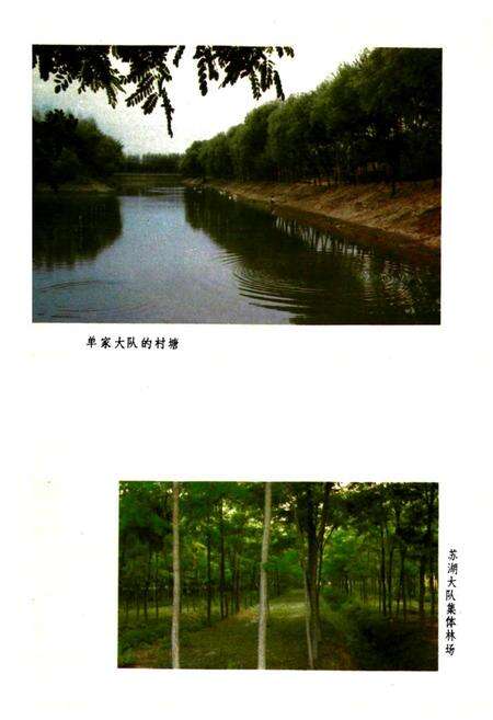 《宿县林业志》.pdf_安徽省志预览图5