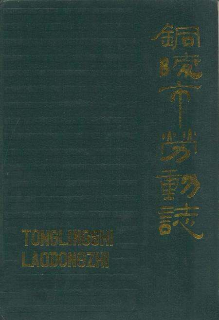 《铜陵市劳动志》.pdf_安徽省志缩略图